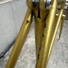 Ganwell njsフレーム ゴールドの画像