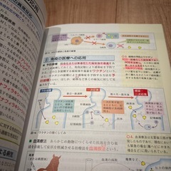 生物基礎　参考書の画像