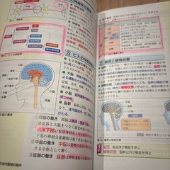 生物基礎　参考書の画像