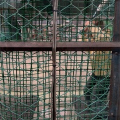 バッセン、キャッチボール一緒にやりたい🏃‍♀️