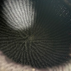 カゴバッグ　インテリア　baba tree　の画像