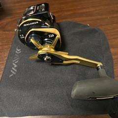 釣具　リール　ダイワ　ソルティガIC 300H-SJの画像