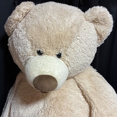 クマのぬいぐるみの画像