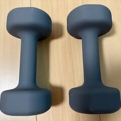 5kgダンベル2つの画像