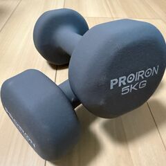 5kgダンベル2つの画像