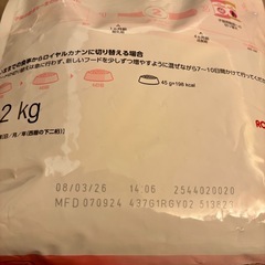 ロイヤルカナン　　成長前期の子猫用の画像