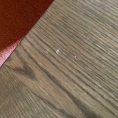 滝口木材（株）こたつの画像