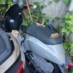 トゥデイ2台部品どりの画像