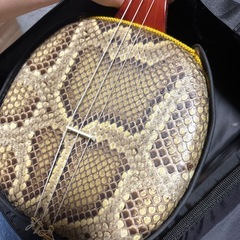 沖縄三線の画像