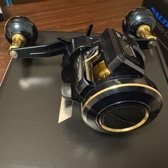 ダイワ　ソルティガIC 100H-DHの画像