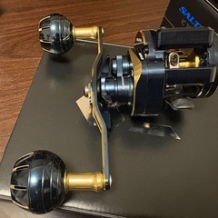 ダイワ　ソルティガIC 100H-DHの画像