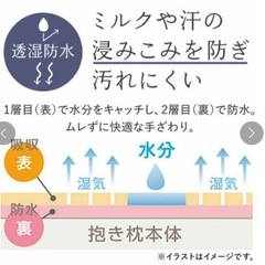 マタニティ抱き枕の画像