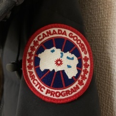 カナダグース 
の画像