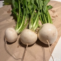 お野菜まとめて🥬の画像