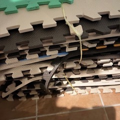 予定者あり　ジョイントマットの画像