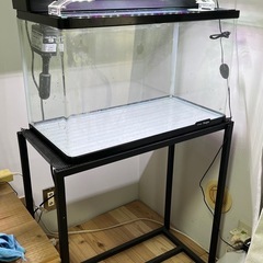 コトブキ水槽60cm水槽上部フィルター+GEX水槽台+その他諸々の画像