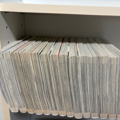 RiN 全巻セットの画像