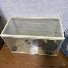 水槽の画像