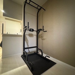 STEADY  懸垂器具　　懸垂マシンの画像