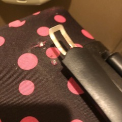 キャリーバッグの画像