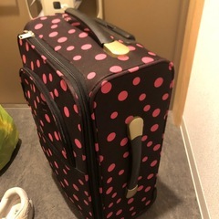 キャリーバッグの画像