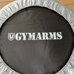 山善 トランポリンの画像