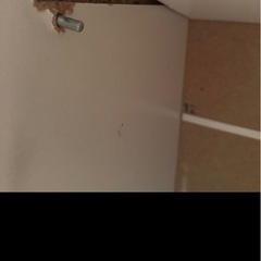 recenoマガジンラックホワイトの画像