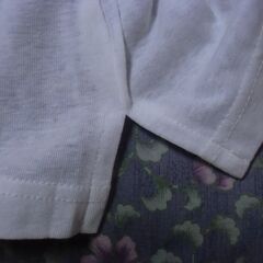 日本製 白無地 半袖Tシャツ トップス 綿100％ お譲りします。の画像