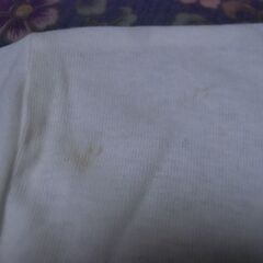 日本製 白無地 半袖Tシャツ トップス 綿100％ お譲りします。の画像