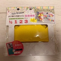 フェルトクラウンの画像