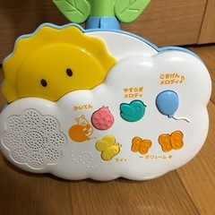 美品🌟
プーメリーの画像
