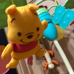 美品🌟
プーメリーの画像