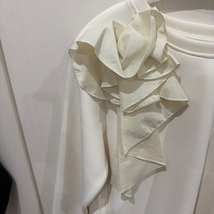 セルフォードの画像