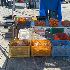 有田みかん超訳あり一袋500円の画像