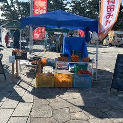 有田みかん超訳あり一袋500円の画像