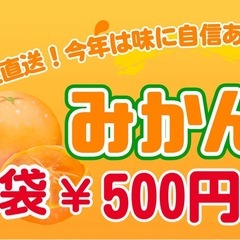 有田みかん超訳あり一袋500円の画像