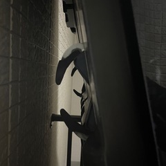 【THULE】ルーフボックス(鍵付き)の画像