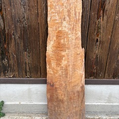 栃　縮杢　2枚セットの画像