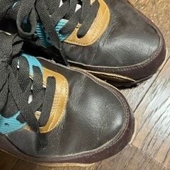 NIKE エママックス90 GORE-TEXの画像