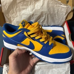 Nike Dunk Low
の画像