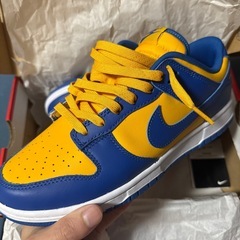 Nike Dunk Low
の画像