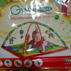 プレイジム　袋　説明書付きの画像