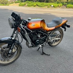 RZ250R 1XG ホワイトハウス外装セットの画像