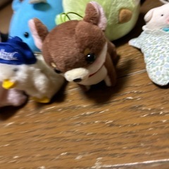 ぬいぐるみセットの画像