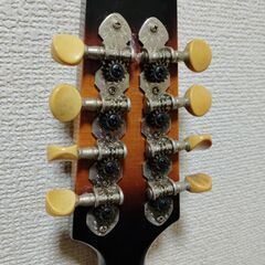 マンドリンの画像