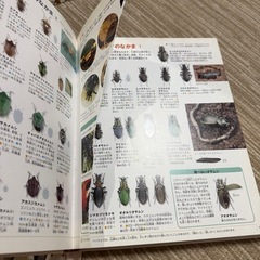 🐝昆虫 図鑑 絵本🪲の画像