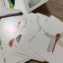 🐝昆虫 図鑑 絵本🪲の画像