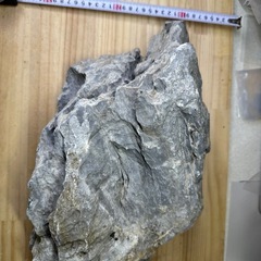 ADA 龍王石（親石）の画像