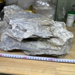 ADA 龍王石（親石）の画像