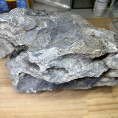 ADA 龍王石（親石）の画像